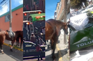 #Video: Estampida de caballos de la policía estatal; porra de Morelia les arrojó cohetes
