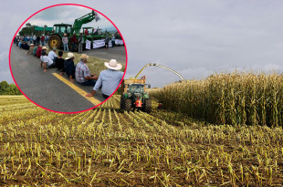 La medida busca garantizar un precio justo para los agricultores ante la crisis del sector rural.