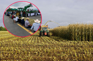 La medida busca garantizar un precio justo para los agricultores ante la crisis del sector rural.