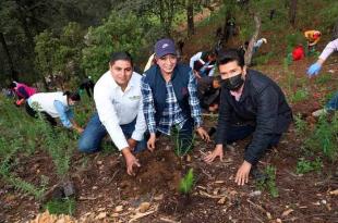 La meta es plantar 110 mil árboles, de los cuales se han sembrado aproximadamente 40 mil