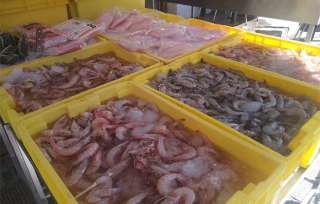 Además de la pandemia, la tradición de cuaresma no se respeta y los precios del pescado incrementaron casi 50 por ciento, por lo que las ventas bajaron 80 por ciento
