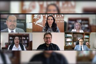 Sesión en línea del Pleno del Tribunal Electoral del Estado de México durante la resolución del caso de violencia política de género en redes sociales.