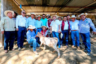 La Secretaria del Campo, María Eugenia Rojano Valdés, constató este avance durante la supervisión de las brigadas de sanidad en la comunidad El Mango, en Tlatlaya, donde se reportó la presencia de esta plaga.