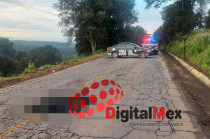 Conductores que lo avistaron alertaron al 911