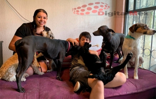 Habilitan casa de huéspedes para perros en Metepec