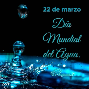 Día Mundial del Agua...