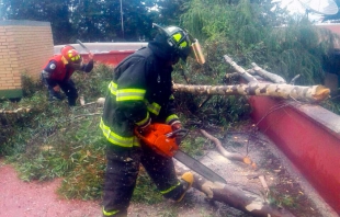 Atienden Bomberos de Toluca reportes de árboles en riesgo