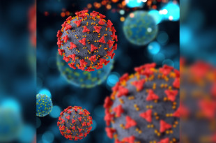 La variante H3N2 del virus de la influenza, especialmente su subclado K, está provocando un aumento significativo de casos de gripe en varias regiones del mundo-