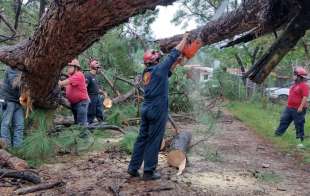 Los reportes indican la caída de cuatro arboles de grandes dimensiones, en San Simón el Alto, Velo de Novia, en Vega del Sauce y uno más en la Pedrera de Agua Fría