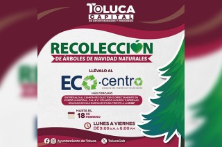 Solo tienes hasta el 18 de febrero para llevar tu árbol a uno de los Ecocentros habilitados o entregarlo a los camiones recolectores.
