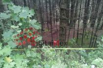 La víctima tenía lesiones, al parecer por golpes.