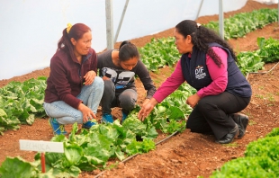 Crecen macroproyectos del programa HortaDIF en Naucalpan