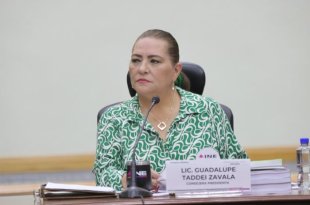 Guadalupe Taddei Zavala anunció su renuncia a la presidencia del INE, en medio de investigaciones de la ASF por presuntas irregularidades en contrataciones y manejo de recursos públicos.
