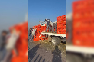 Un camión que transportaba pollos volcó y quedó atravesado en el Libramiento Lerma–Toluca, provocando tráfico lento en ambos sentidos.