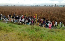 Habitantes de Toluca se forman para robar combustible en toma clandestina