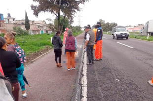 La víctima iba acompañada por su madre y un menor. 