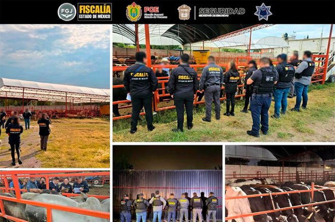 Autoridades mantienen bajo resguardo 101 animales mientras se determina su situación y destino legal.