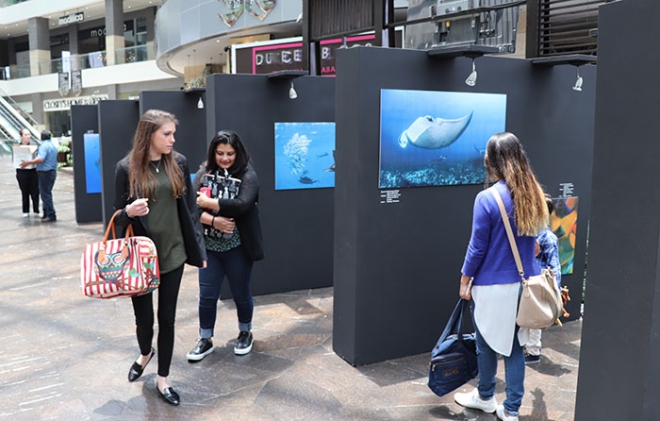 Llega la exposición &quot;Azul&quot; a Huixquilucan