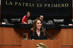 Cristina Ruiz, Senadora del PRI impulsa reforma tras muerte de 14 personas en Oaxaca.